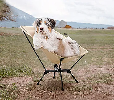 Moon Chairs: Alles, was Sie wissen müssen
